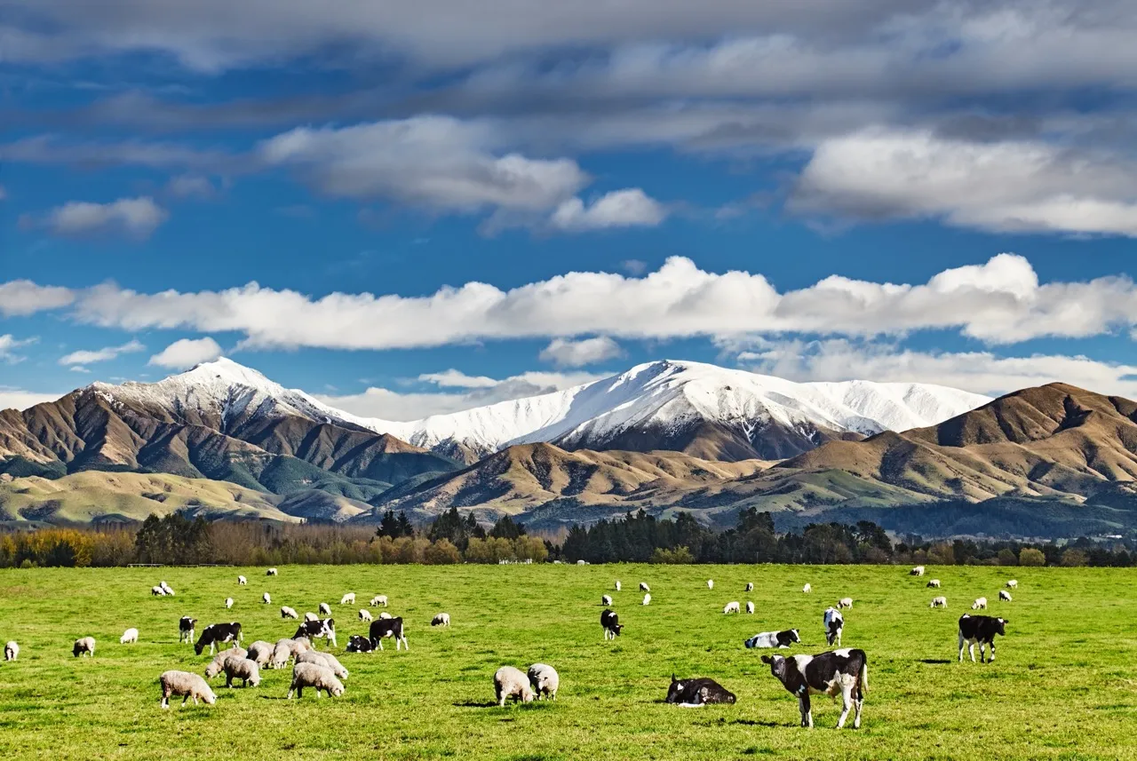 Southern Alps